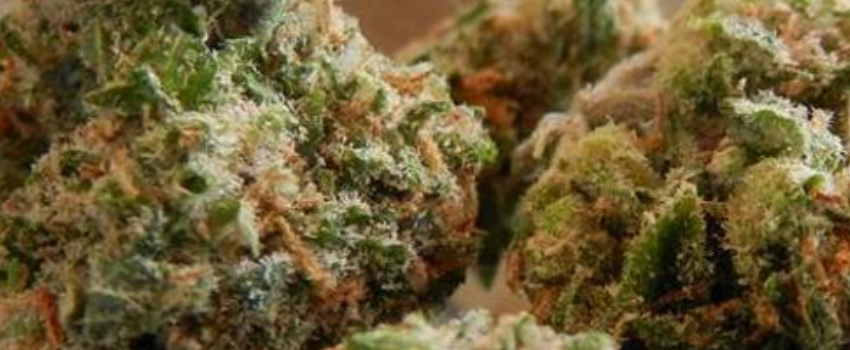 Blue Diamond Medical
