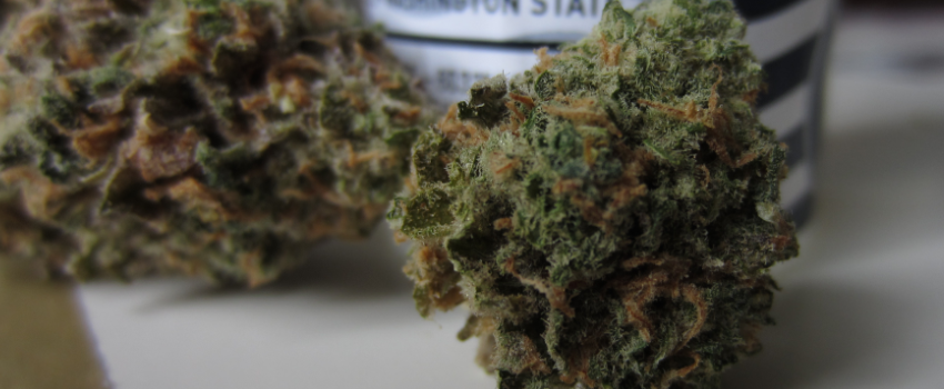 Blue_Hawaiian_Adverse_Reaction