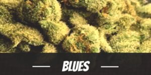 Blues