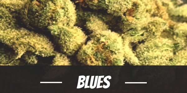 Blues