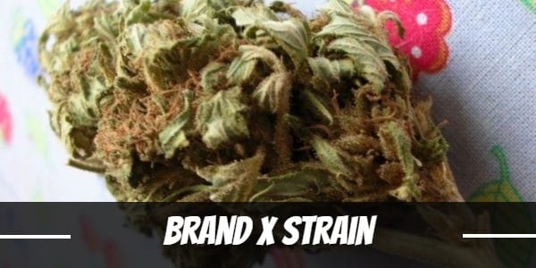 Brand X Strain