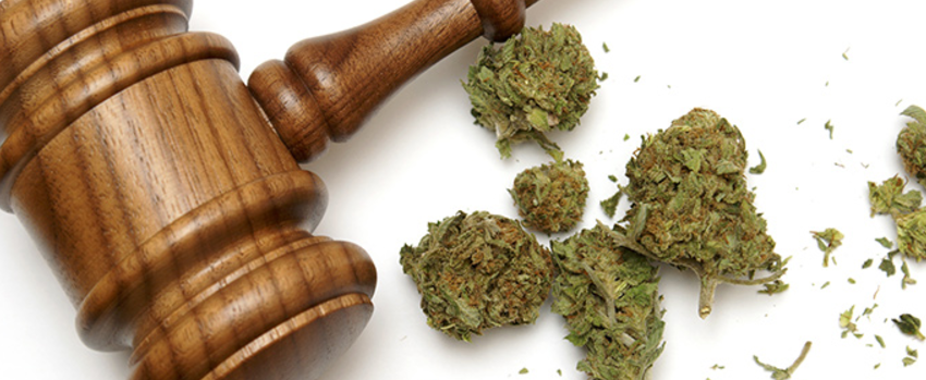 Breaking_Marijuana_Laws_001