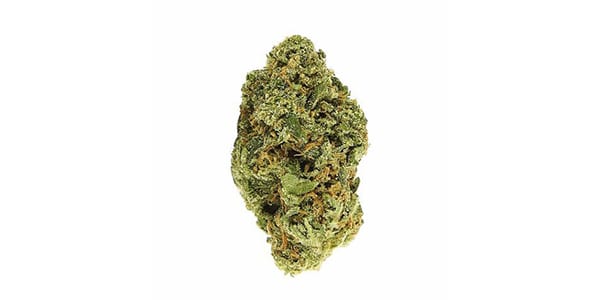 Bubble Cheese