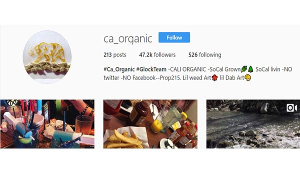 CA Organic