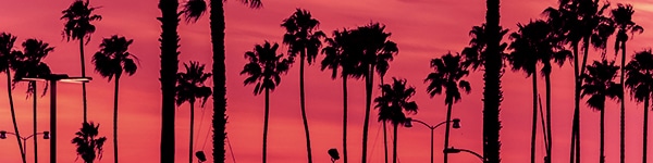 California Recreational Weed