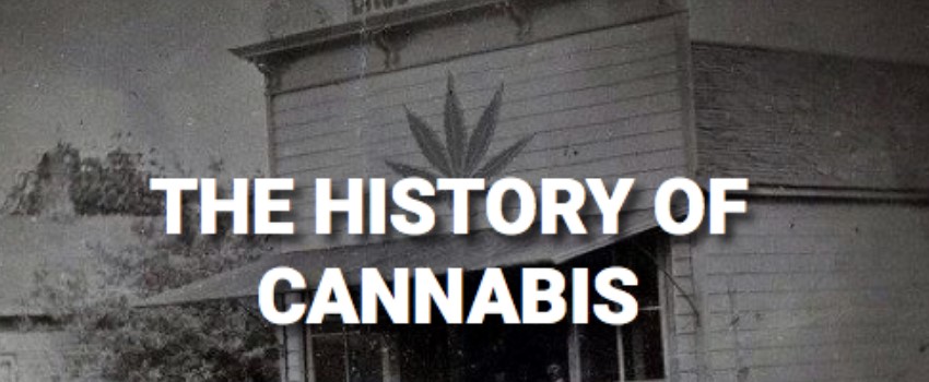 Cannabis history and market