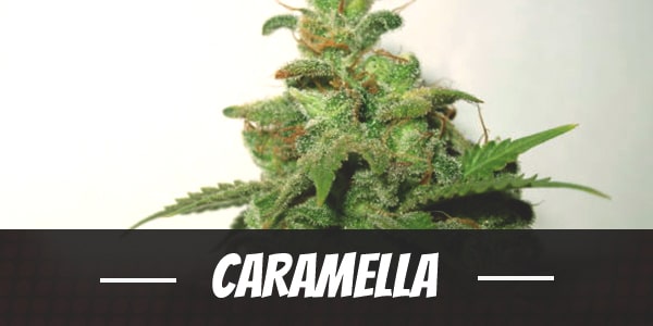 Caramella