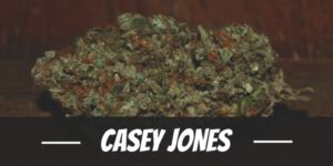 Casey Jones