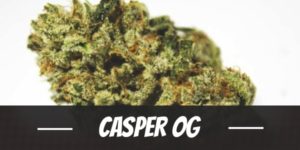 Casper OG