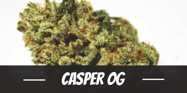 Casper OG