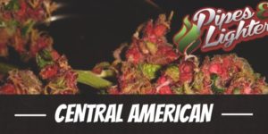 Central American