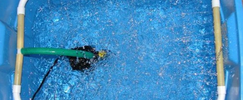 Change Water Regularly