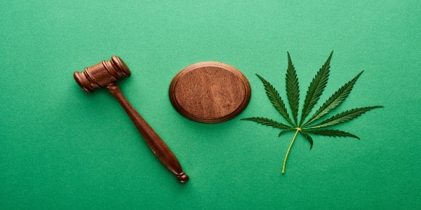 Check marijuana rules in your area