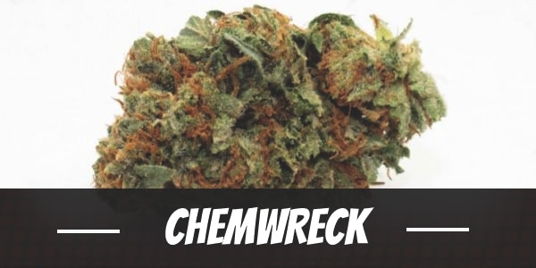 ChemWreck