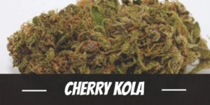Cherry Kola