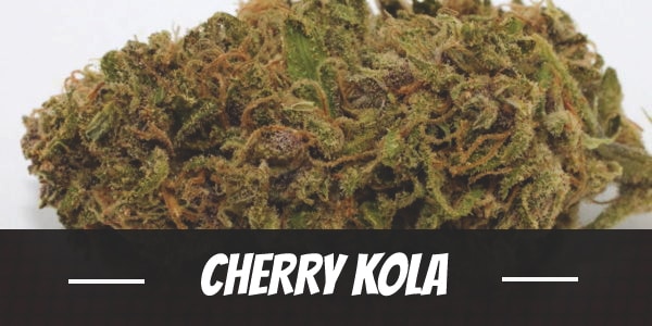 Cherry Kola