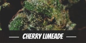 Cherry Limeade