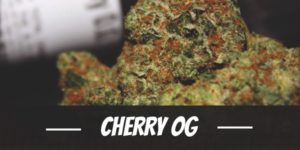Cherry OG