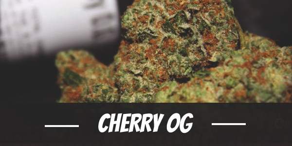 Cherry OG