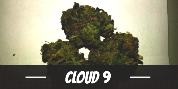 Cloud 9
