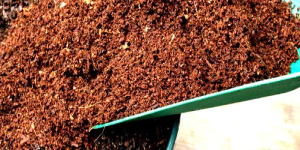 Other Grow Mediums - Coco Coir