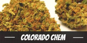 Colorado Chem