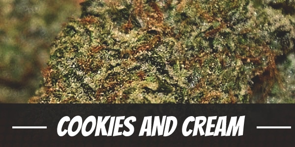 Cookies And Cream