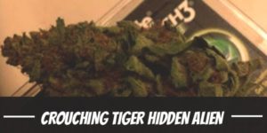 Crouching Tiger Hidden Alien