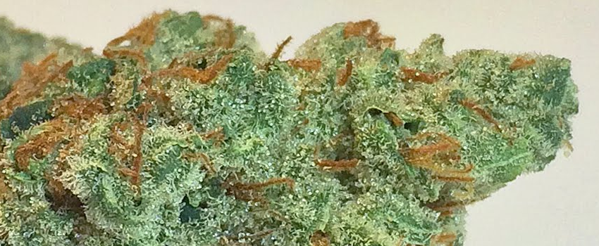 Dark Star Effects