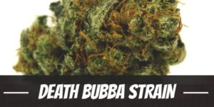 Death Bubba Strain