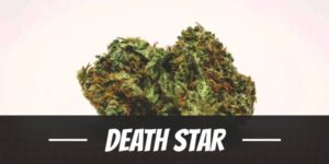 Death Star