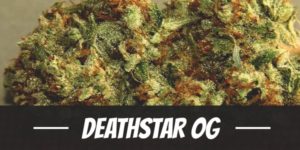Deathstar OG
