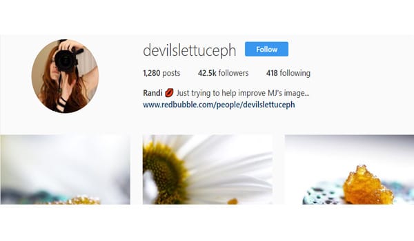 Devil Lettuce Photography