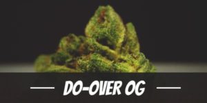 Do-Over OG