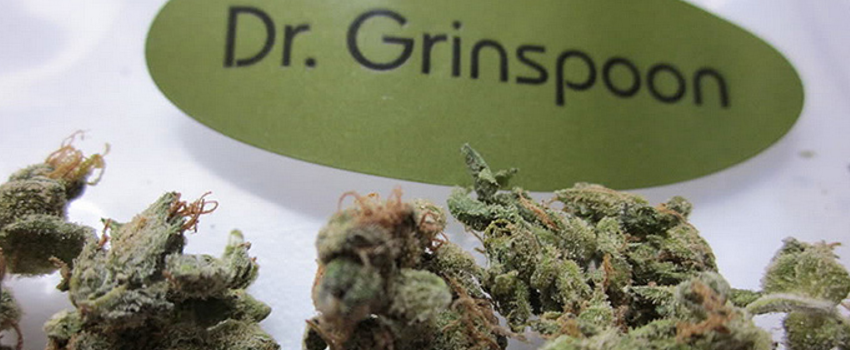 dr grinspoon strain effects