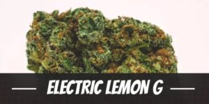 Electric Lemon G