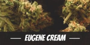 Eugene Cream