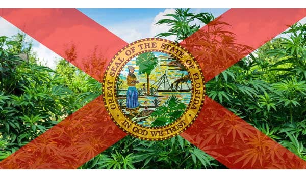 Florida official seal with marijuana plants