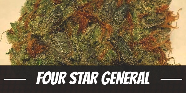Four Star General