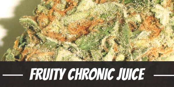 Fruity Chronic Juice