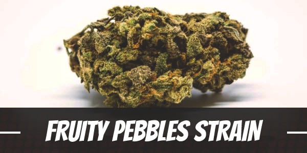 Fruity Pebbles Strain