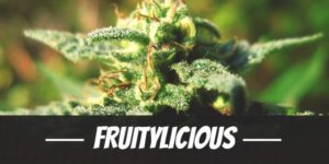 Fruitylicious