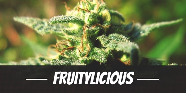 Fruitylicious