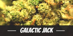 Galactic Jack