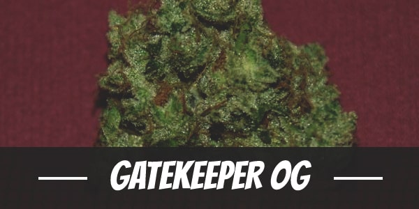 Gatekeeper OG