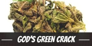 God’s Green Crack