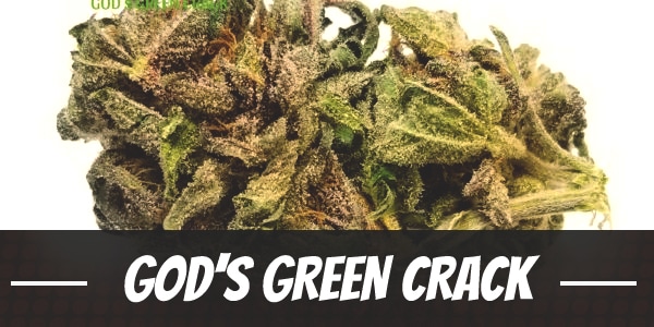 God’s Green Crack