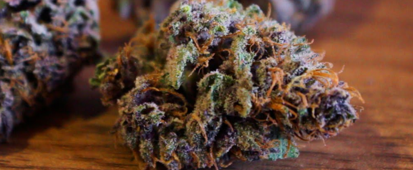 Grape Crush Effects