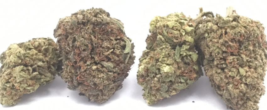 Grapefruit_Kush_Adverse_Reactions