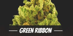 Green Ribbon
